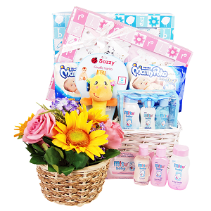 Baby Hamper Gifts Singapore