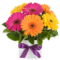 online florist Singapore congratulations flowers