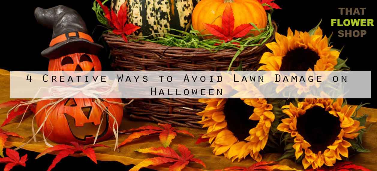 4 Creative Ways to Avoid Lawn Damage on Halloween