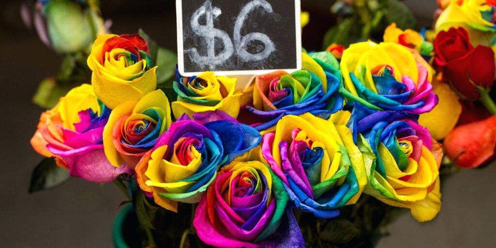 single rainbow rose sales Singapore
